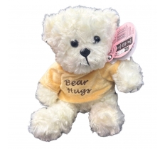 Plush 20cm Bear With Slogan " Bear Hugs "