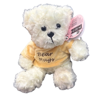 Plush 20cm Bear With Slogan " Bear Hugs "