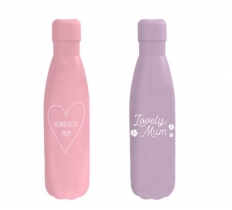 MOTHER'S DAY METAL WATER BOTTLE