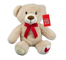 Valentines Teddy Bear 28cm