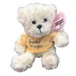 Plush 20cm Bear With Slogan " Bear Hugs "