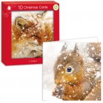 Square Woodland Animal Card Pack Of 10