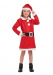 Childrens Santa Girl Costume ( Large / 10 - 12 Years )