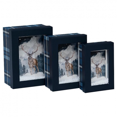 Christmas Set Of 3 Window Box Caledonia