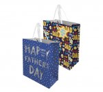 Father's Day Medium Gift Bag