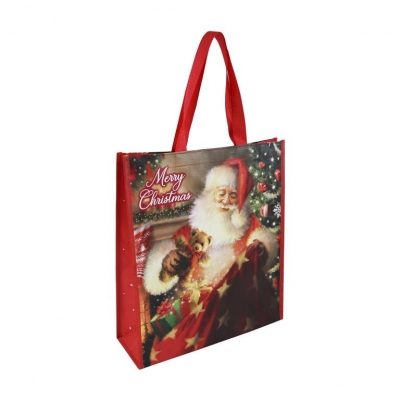 Christmas Traditional Santa Small PP Woven