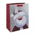Christmas Christmas Santa Glitter Large Bag (265Mmx330Mm X140Mm)