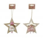 Hanging Fairy On Star ( Assorted Design )