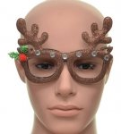 Christmas Antler Glasses Frames