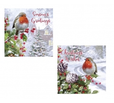 Christmas Robin Traditional Card 12pk