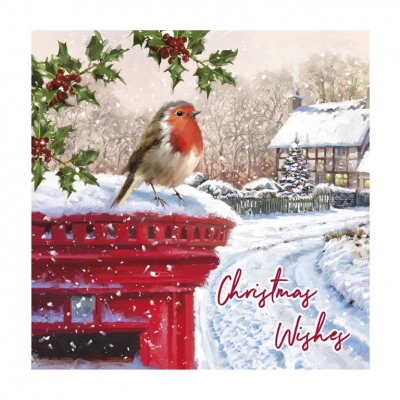 Christmas Snowman/Robin Traditional 12pk Card