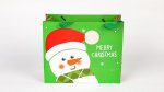 Snowman Green Gift Bag Large 31X27X12cm