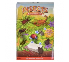 Insects Excavation Kit