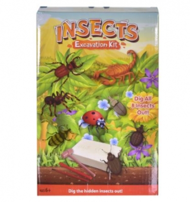 Insects Excavation Kit