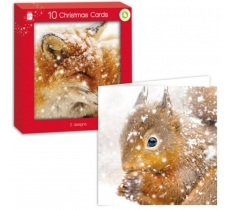 Square Woodland Animal Card Pack Of 10