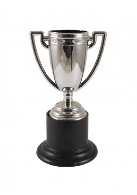 Mini Silver Trophies 10cm