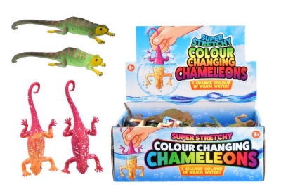 Colour Changing Lizards